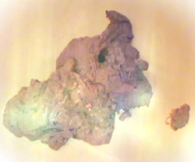 出品者名-写真-1